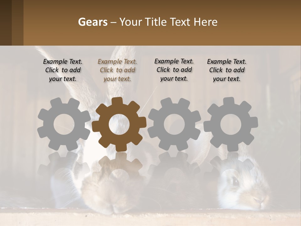 A Couple Of Rabbits Sitting Next To Each Other PowerPoint Template