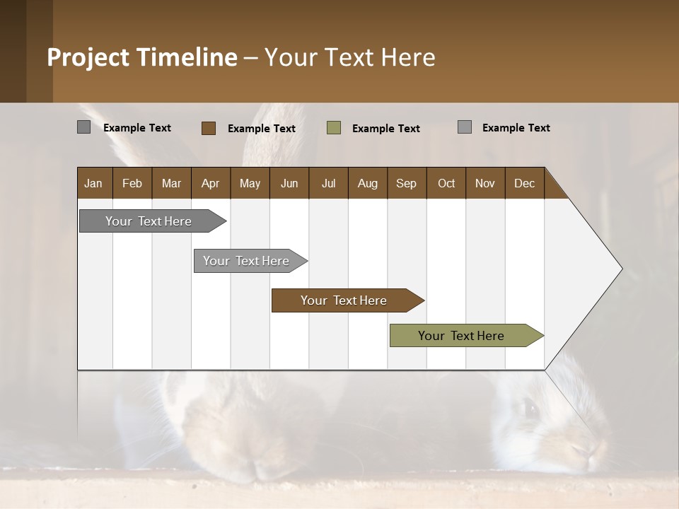 A Couple Of Rabbits Sitting Next To Each Other PowerPoint Template