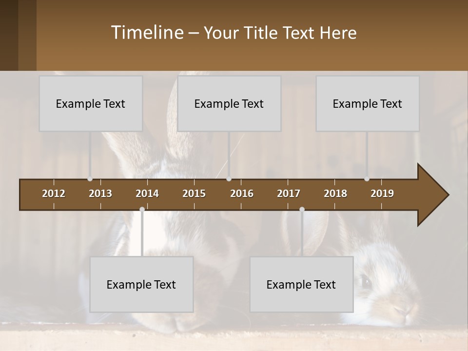 A Couple Of Rabbits Sitting Next To Each Other PowerPoint Template
