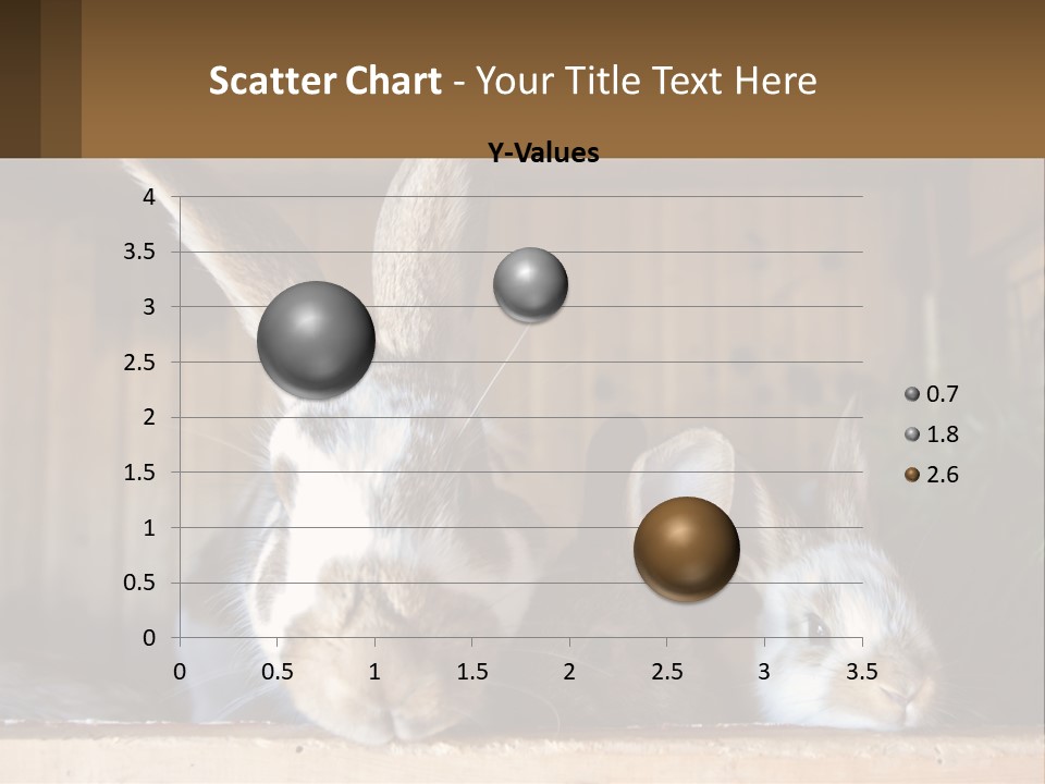 A Couple Of Rabbits Sitting Next To Each Other PowerPoint Template