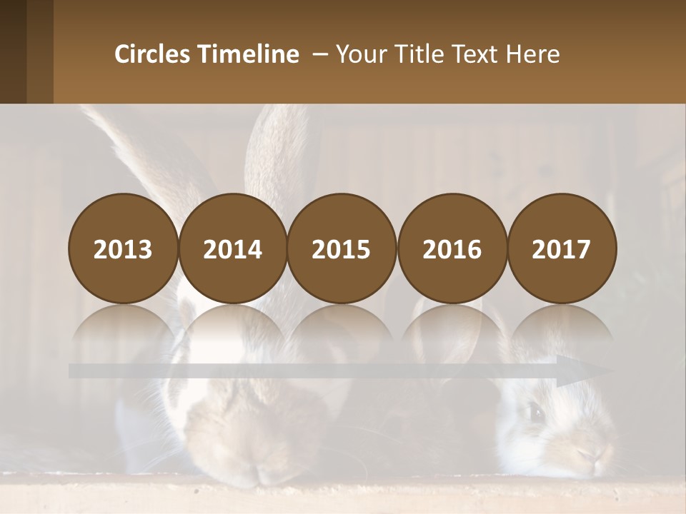 A Couple Of Rabbits Sitting Next To Each Other PowerPoint Template