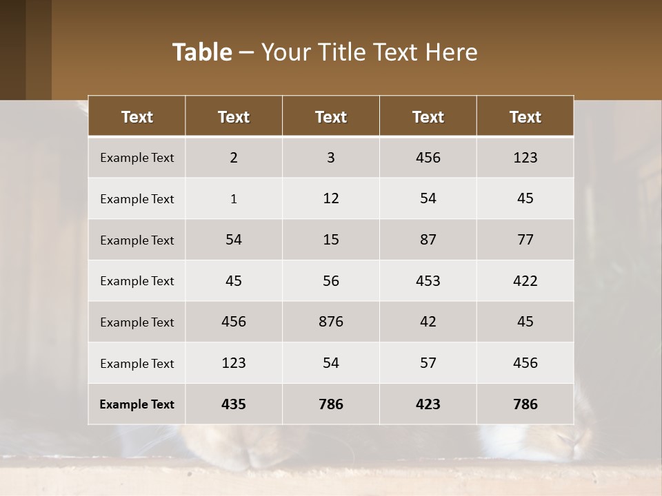 A Couple Of Rabbits Sitting Next To Each Other PowerPoint Template