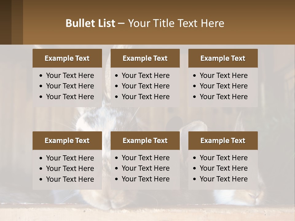 A Couple Of Rabbits Sitting Next To Each Other PowerPoint Template