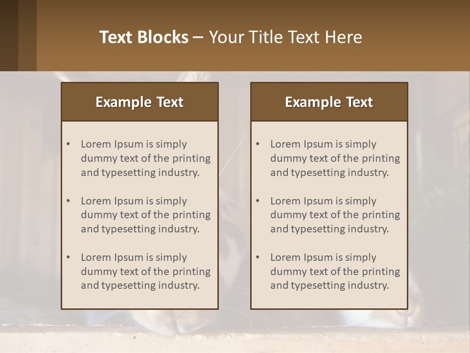 A Couple Of Rabbits Sitting Next To Each Other PowerPoint Template