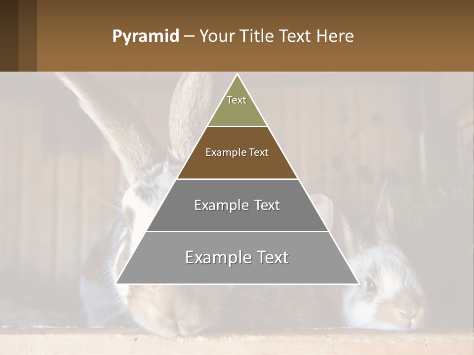 A Couple Of Rabbits Sitting Next To Each Other PowerPoint Template
