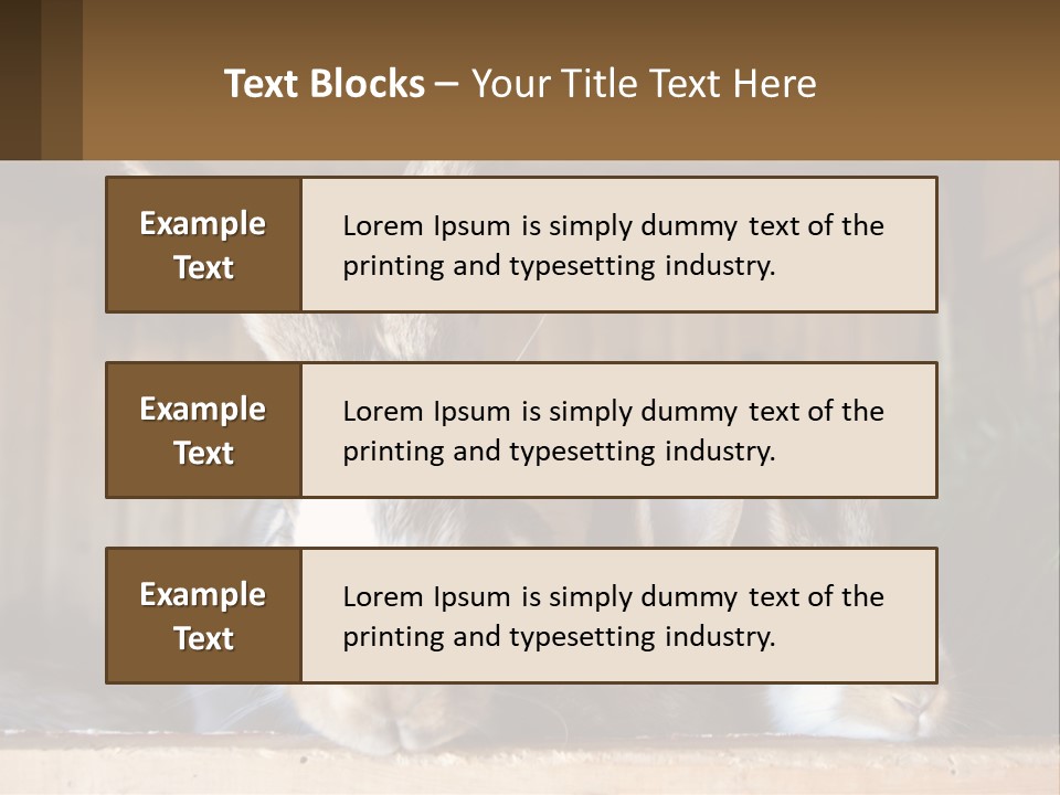 A Couple Of Rabbits Sitting Next To Each Other PowerPoint Template