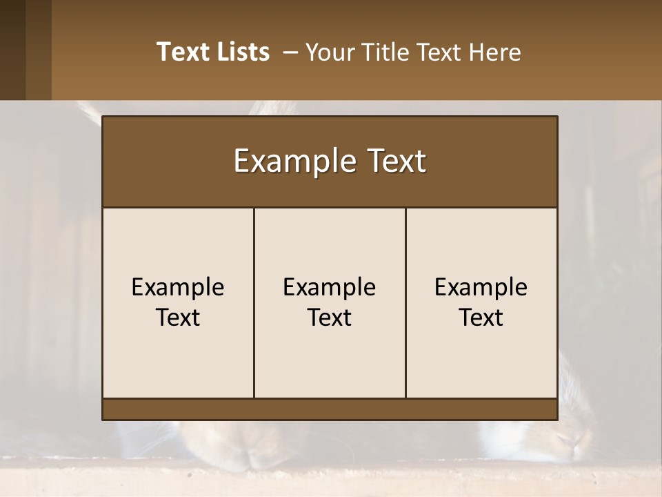 A Couple Of Rabbits Sitting Next To Each Other PowerPoint Template