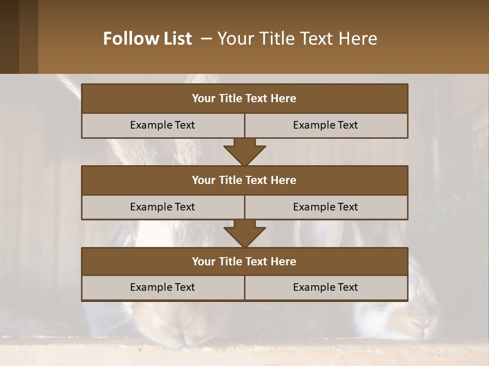 A Couple Of Rabbits Sitting Next To Each Other PowerPoint Template