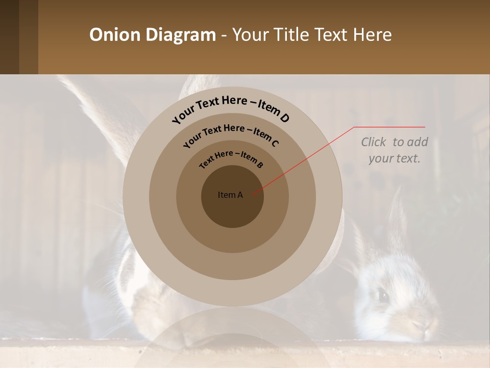 A Couple Of Rabbits Sitting Next To Each Other PowerPoint Template