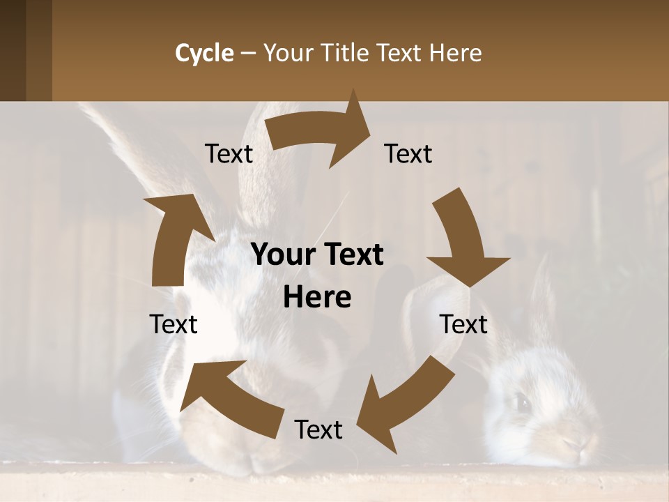 A Couple Of Rabbits Sitting Next To Each Other PowerPoint Template