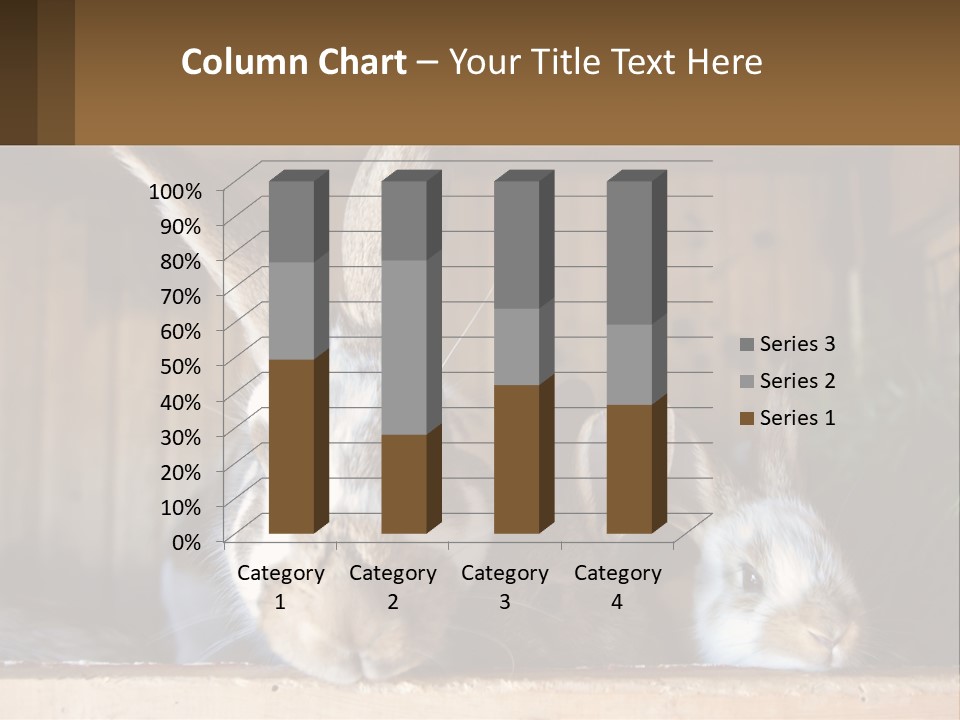 A Couple Of Rabbits Sitting Next To Each Other PowerPoint Template