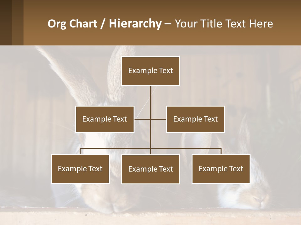 A Couple Of Rabbits Sitting Next To Each Other PowerPoint Template