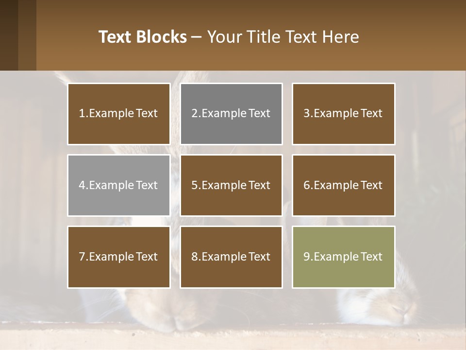 A Couple Of Rabbits Sitting Next To Each Other PowerPoint Template
