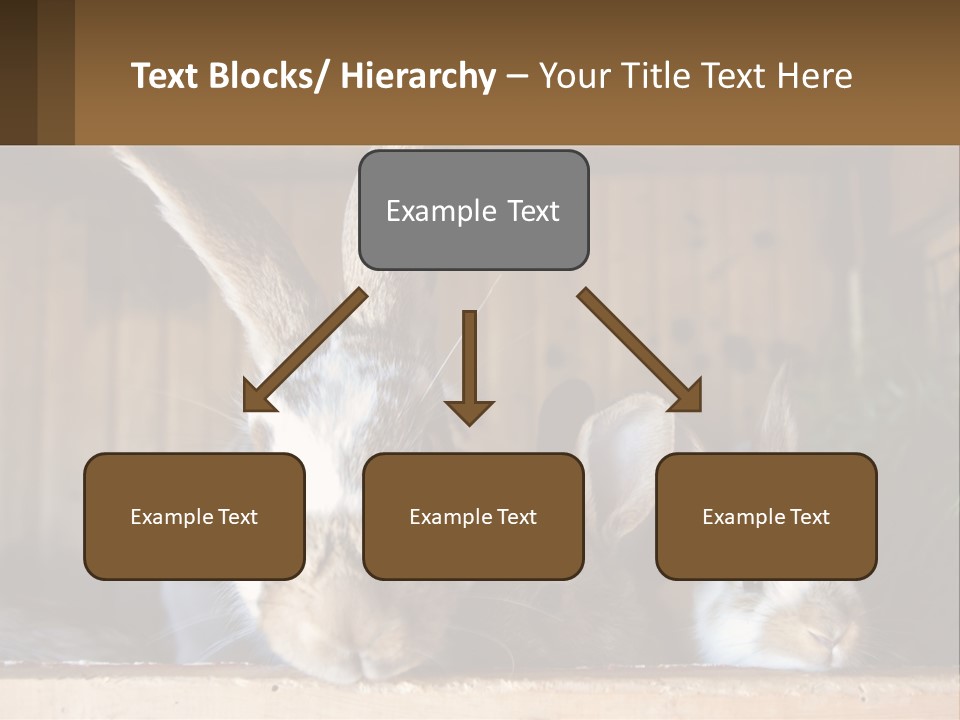 A Couple Of Rabbits Sitting Next To Each Other PowerPoint Template