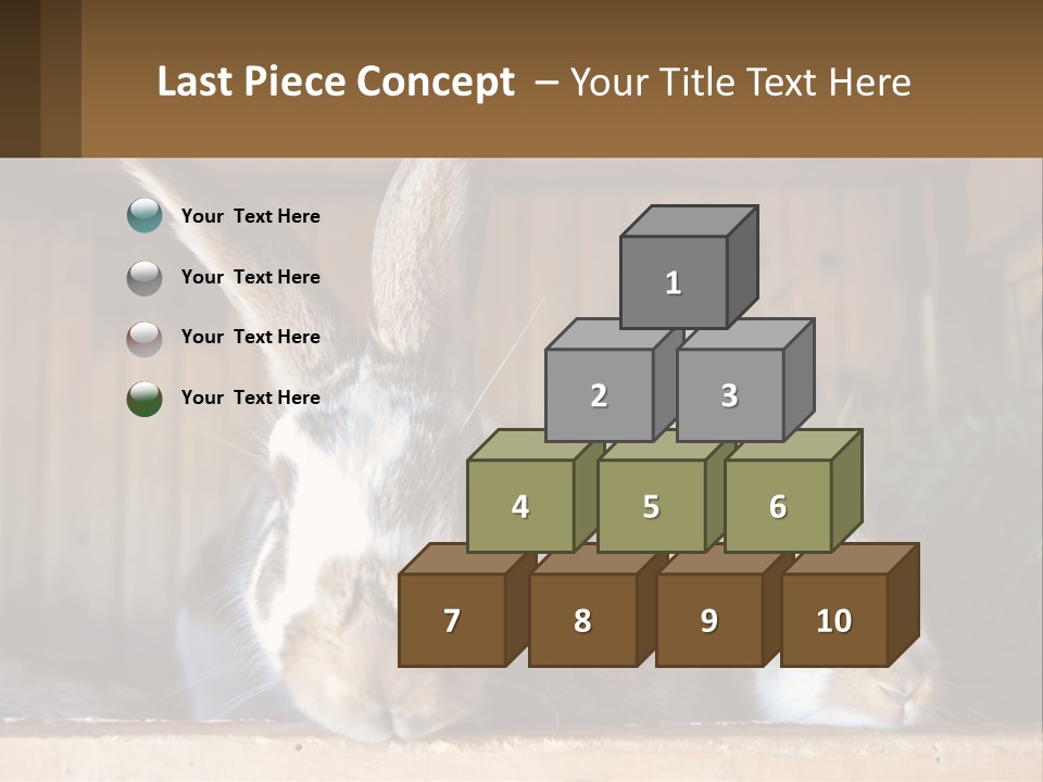A Couple Of Rabbits Sitting Next To Each Other PowerPoint Template