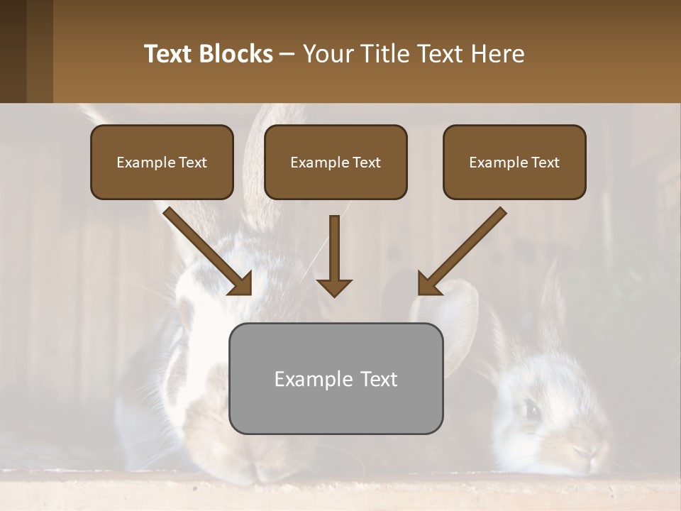 A Couple Of Rabbits Sitting Next To Each Other PowerPoint Template