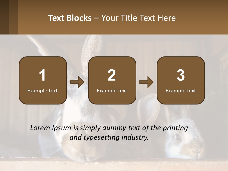 A Couple Of Rabbits Sitting Next To Each Other PowerPoint Template