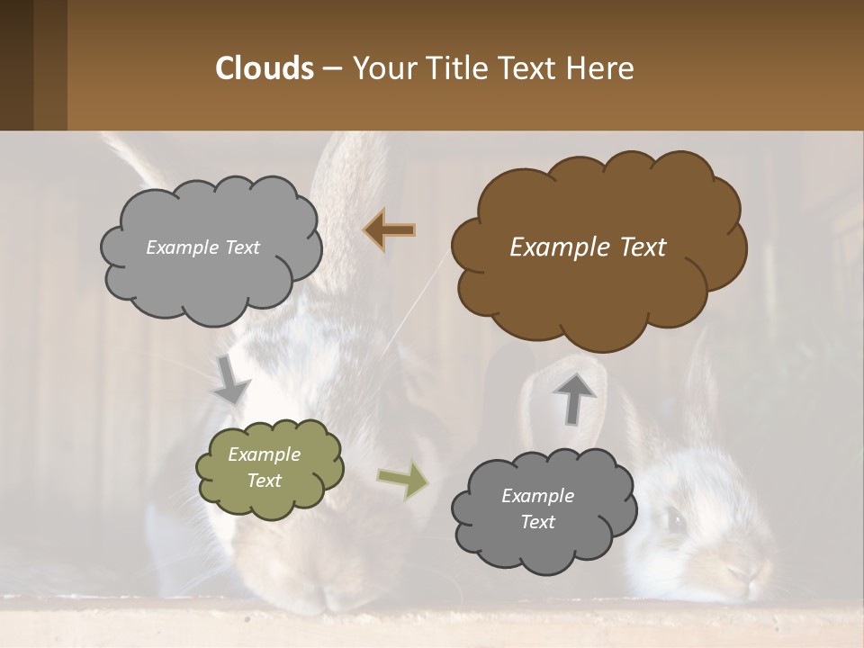 A Couple Of Rabbits Sitting Next To Each Other PowerPoint Template