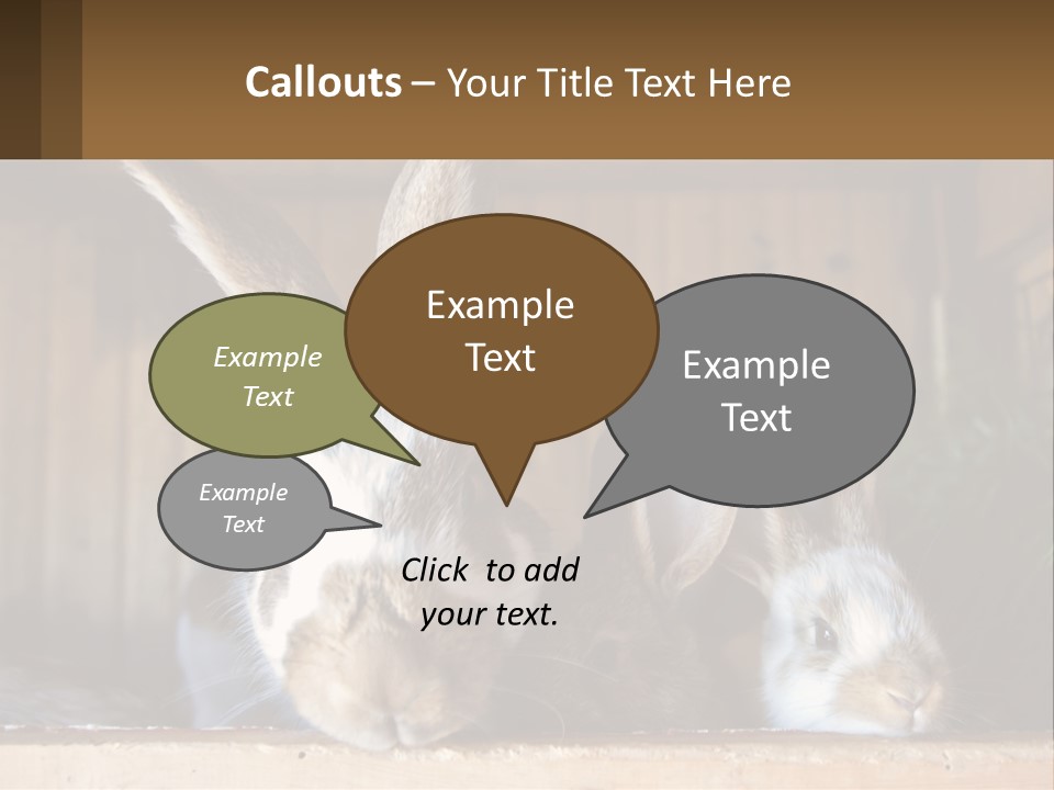 A Couple Of Rabbits Sitting Next To Each Other PowerPoint Template
