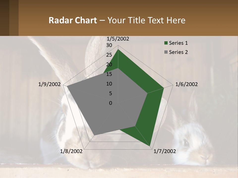 A Couple Of Rabbits Sitting Next To Each Other PowerPoint Template