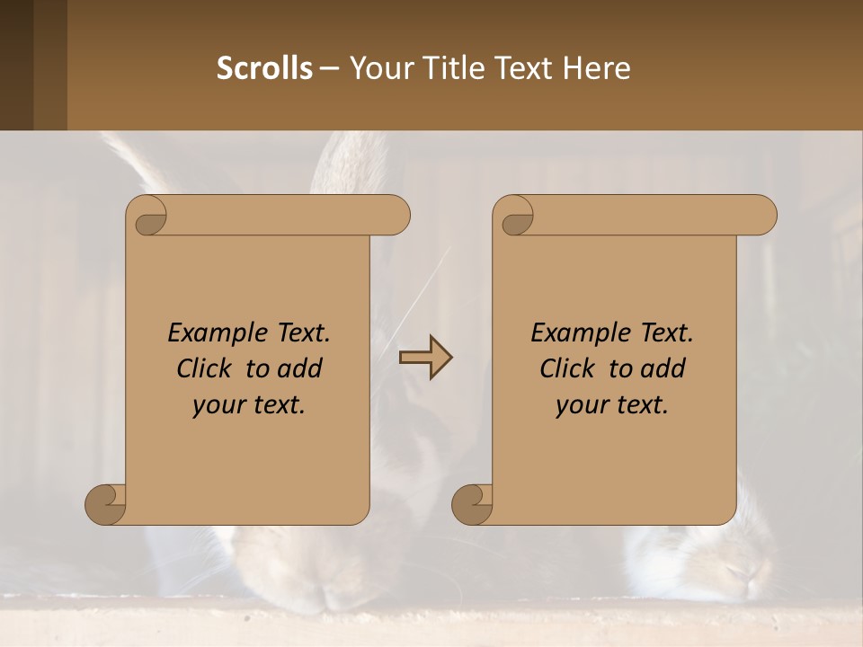 A Couple Of Rabbits Sitting Next To Each Other PowerPoint Template