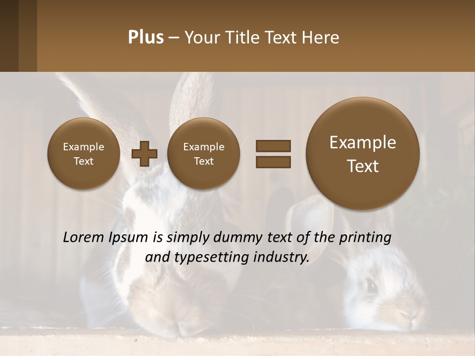 A Couple Of Rabbits Sitting Next To Each Other PowerPoint Template