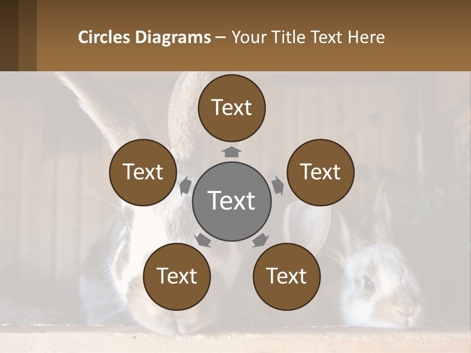 A Couple Of Rabbits Sitting Next To Each Other PowerPoint Template