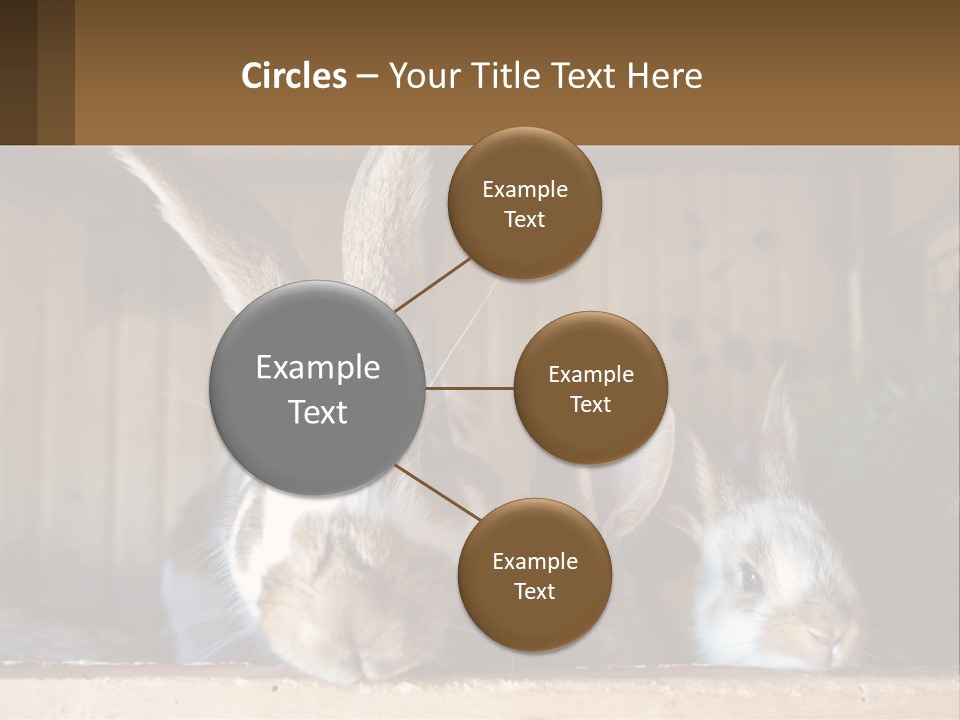 A Couple Of Rabbits Sitting Next To Each Other PowerPoint Template