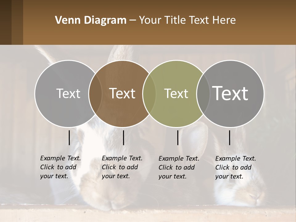A Couple Of Rabbits Sitting Next To Each Other PowerPoint Template
