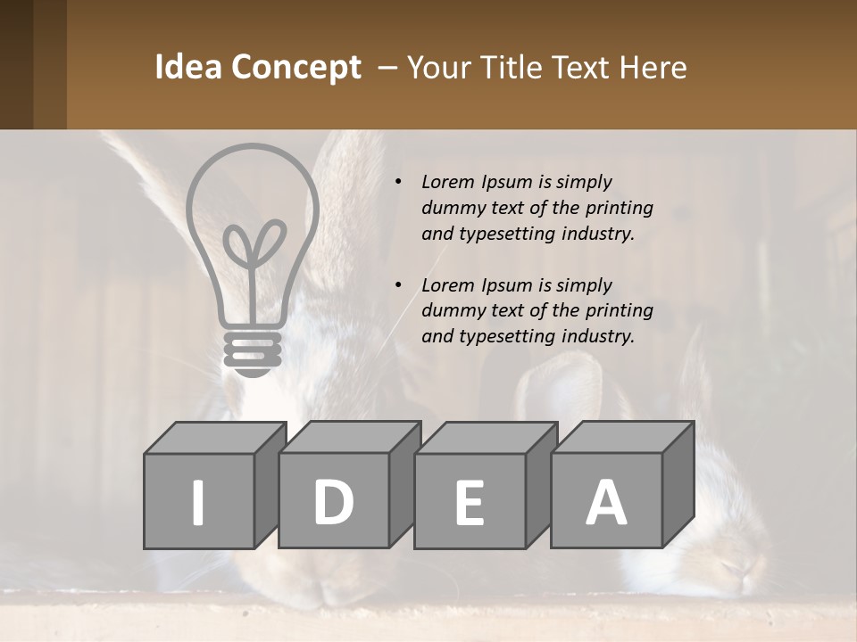 A Couple Of Rabbits Sitting Next To Each Other PowerPoint Template