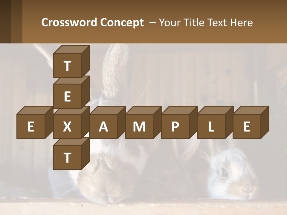 A Couple Of Rabbits Sitting Next To Each Other PowerPoint Template