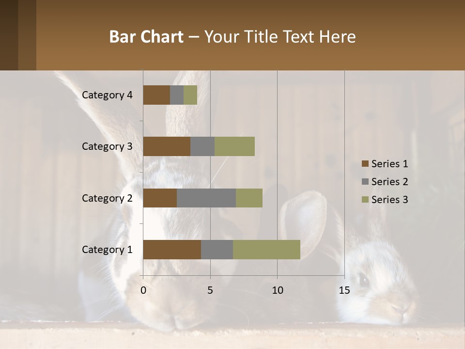 A Couple Of Rabbits Sitting Next To Each Other PowerPoint Template