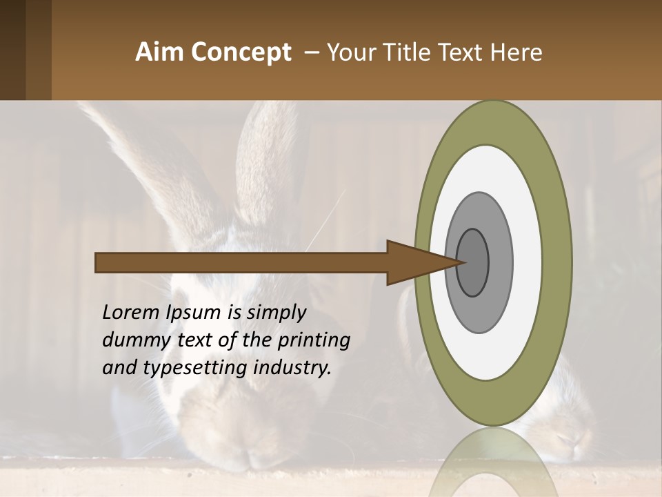 A Couple Of Rabbits Sitting Next To Each Other PowerPoint Template