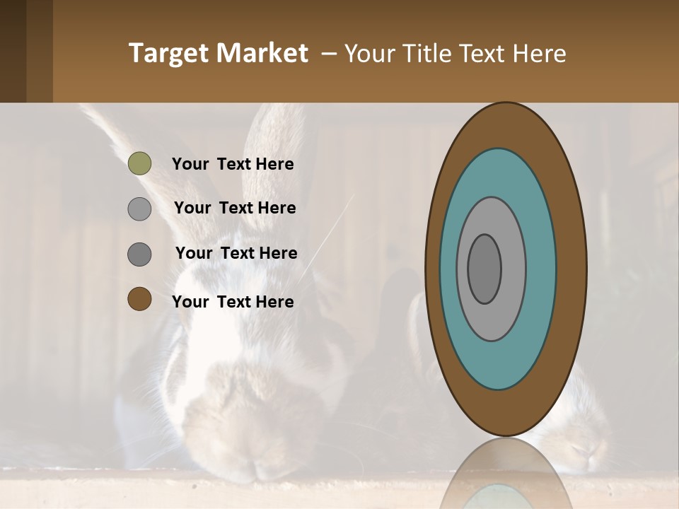 A Couple Of Rabbits Sitting Next To Each Other PowerPoint Template