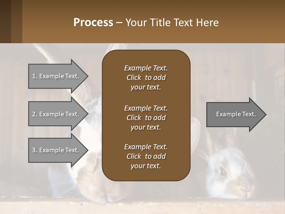 A Couple Of Rabbits Sitting Next To Each Other PowerPoint Template