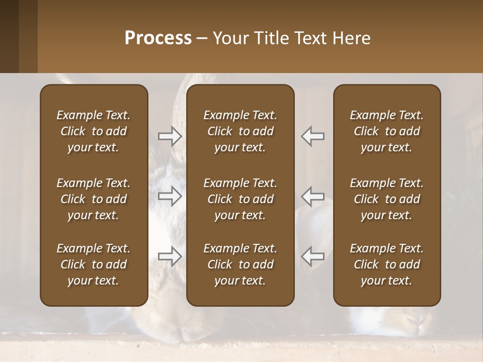 A Couple Of Rabbits Sitting Next To Each Other PowerPoint Template