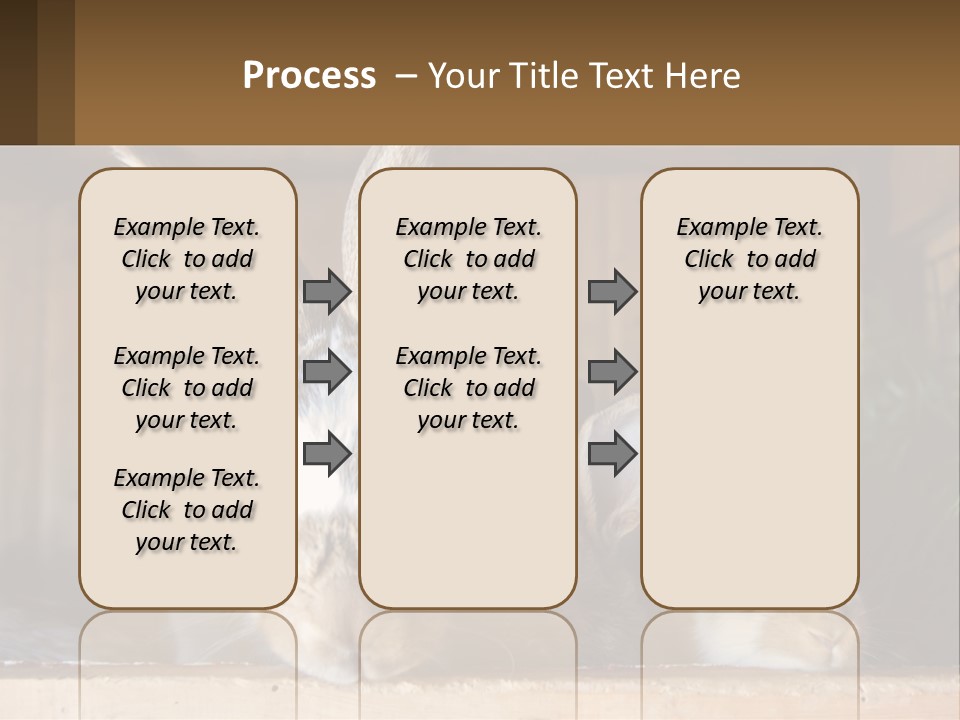A Couple Of Rabbits Sitting Next To Each Other PowerPoint Template