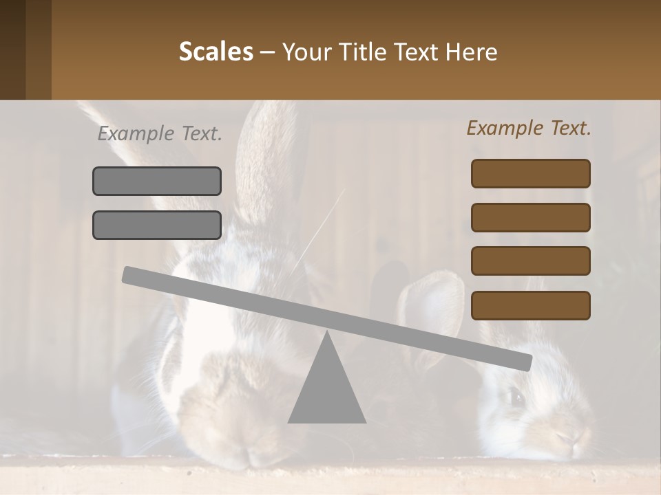 A Couple Of Rabbits Sitting Next To Each Other PowerPoint Template