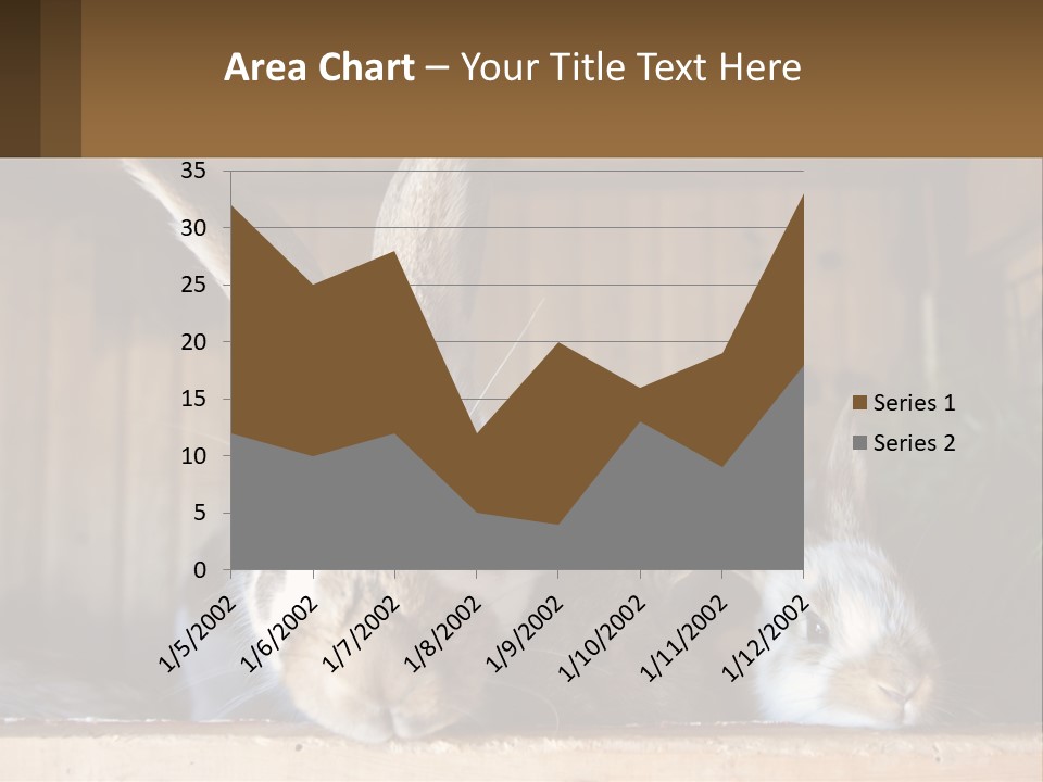 A Couple Of Rabbits Sitting Next To Each Other PowerPoint Template