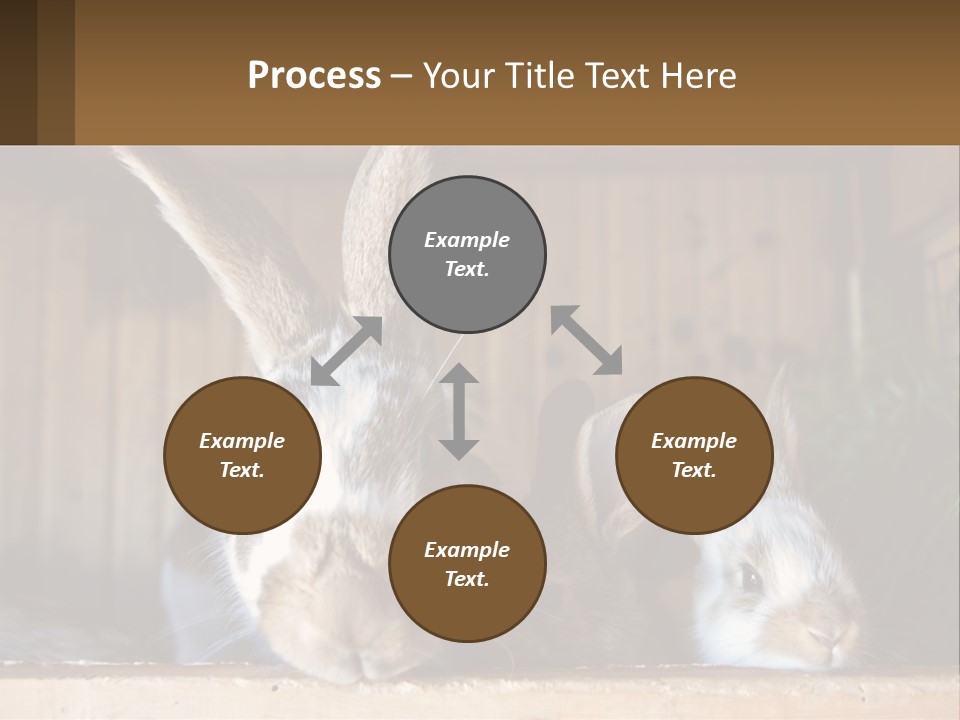 A Couple Of Rabbits Sitting Next To Each Other PowerPoint Template