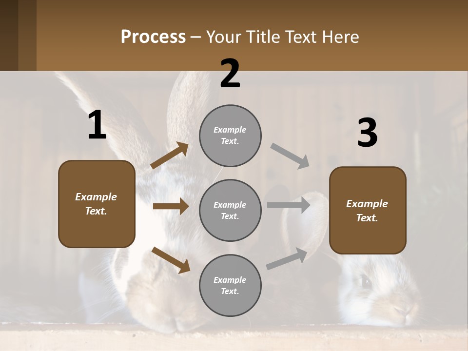 A Couple Of Rabbits Sitting Next To Each Other PowerPoint Template