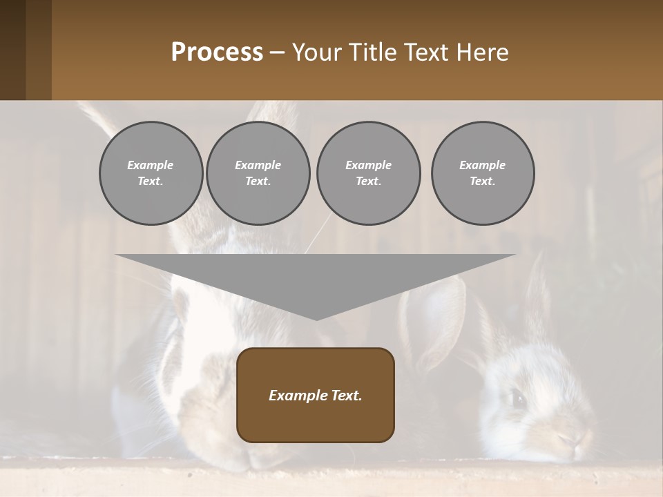 A Couple Of Rabbits Sitting Next To Each Other PowerPoint Template