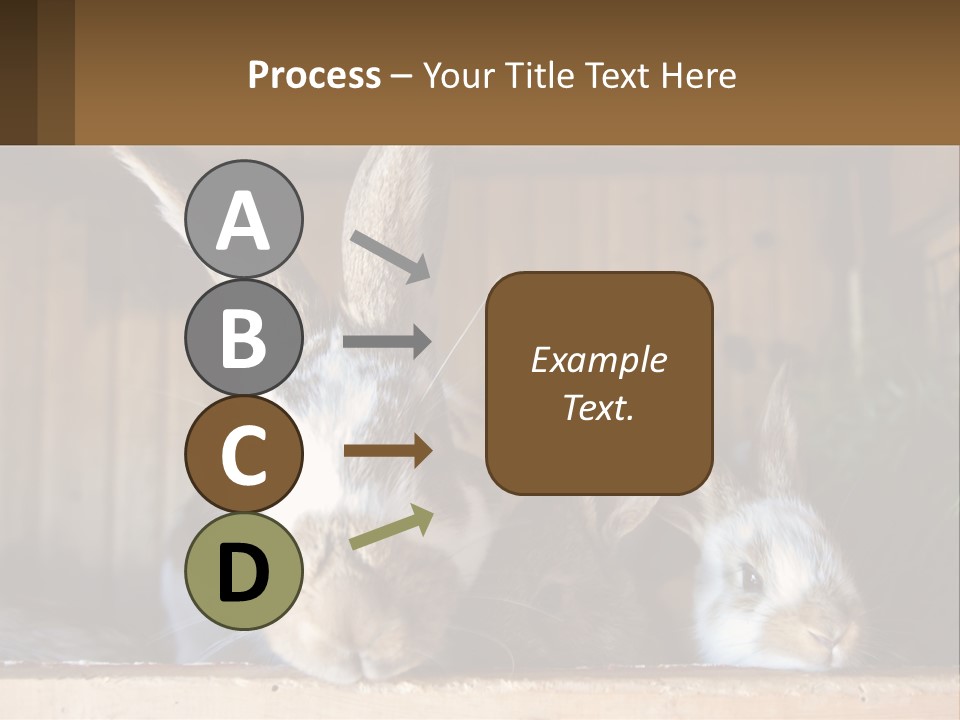 A Couple Of Rabbits Sitting Next To Each Other PowerPoint Template