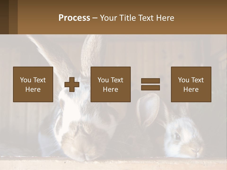 A Couple Of Rabbits Sitting Next To Each Other PowerPoint Template