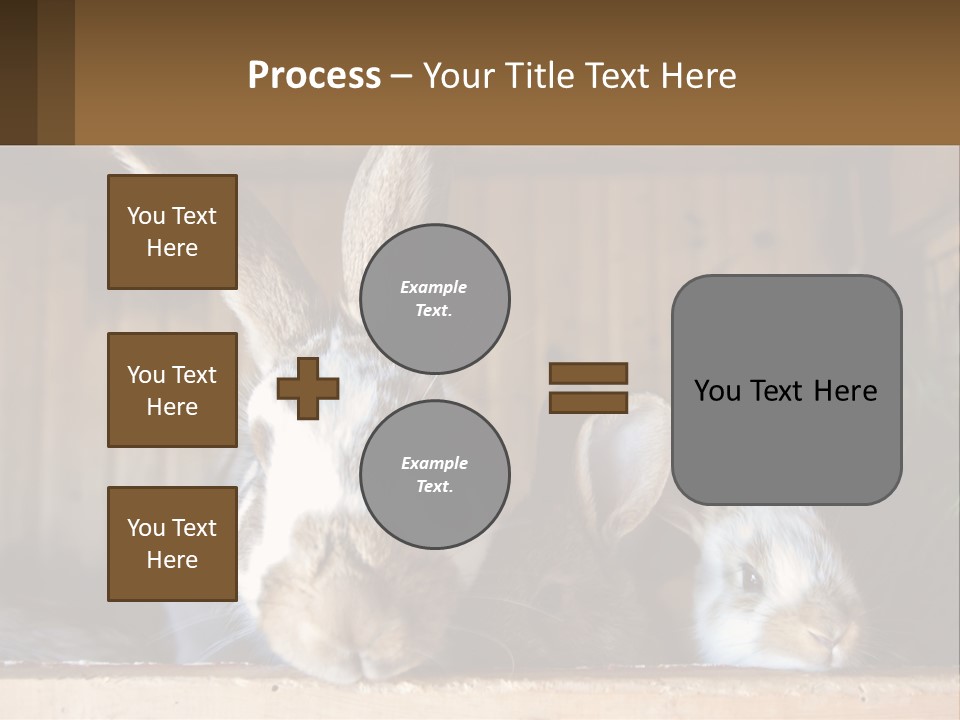 A Couple Of Rabbits Sitting Next To Each Other PowerPoint Template