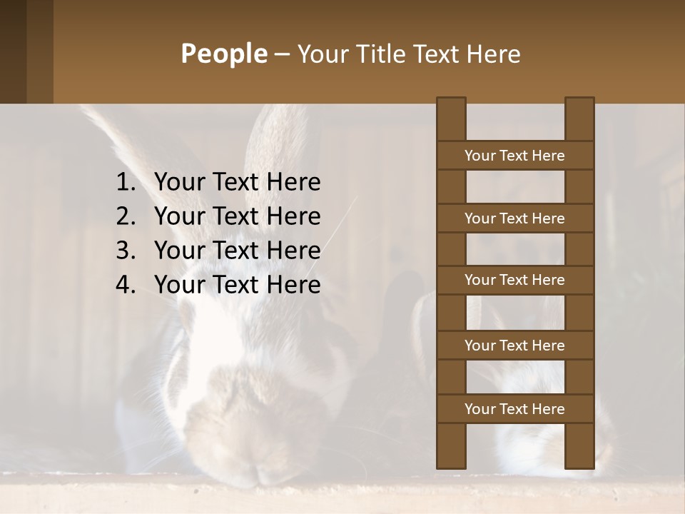 A Couple Of Rabbits Sitting Next To Each Other PowerPoint Template