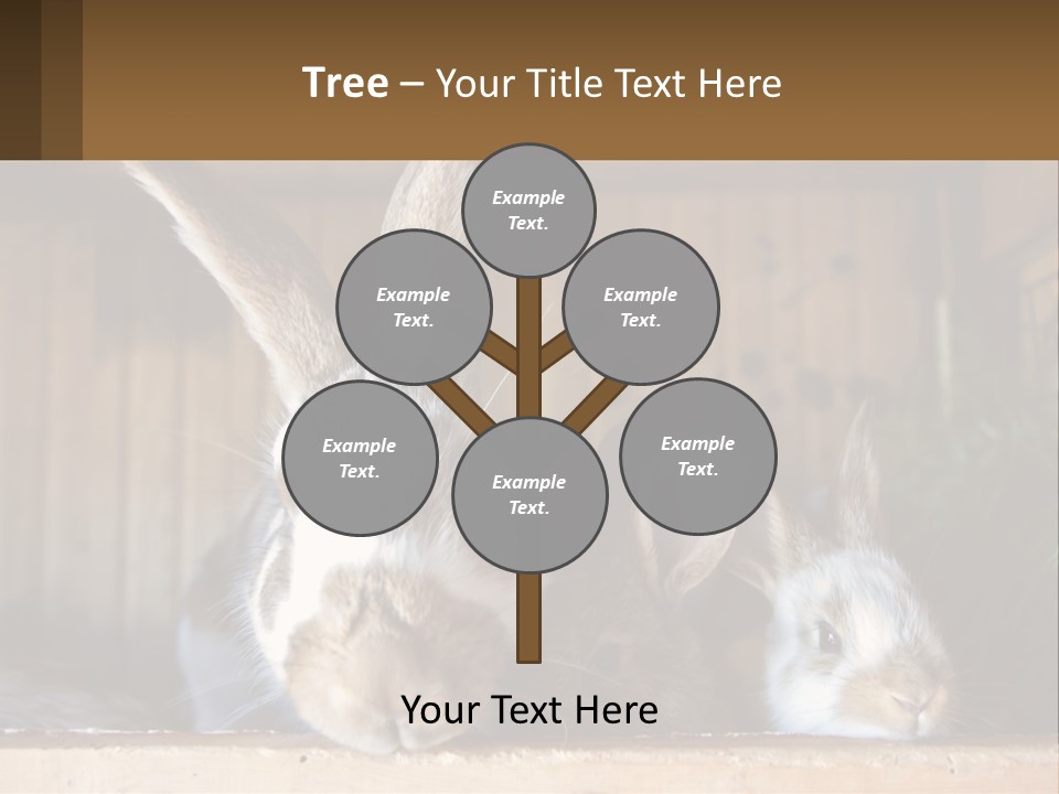 A Couple Of Rabbits Sitting Next To Each Other PowerPoint Template