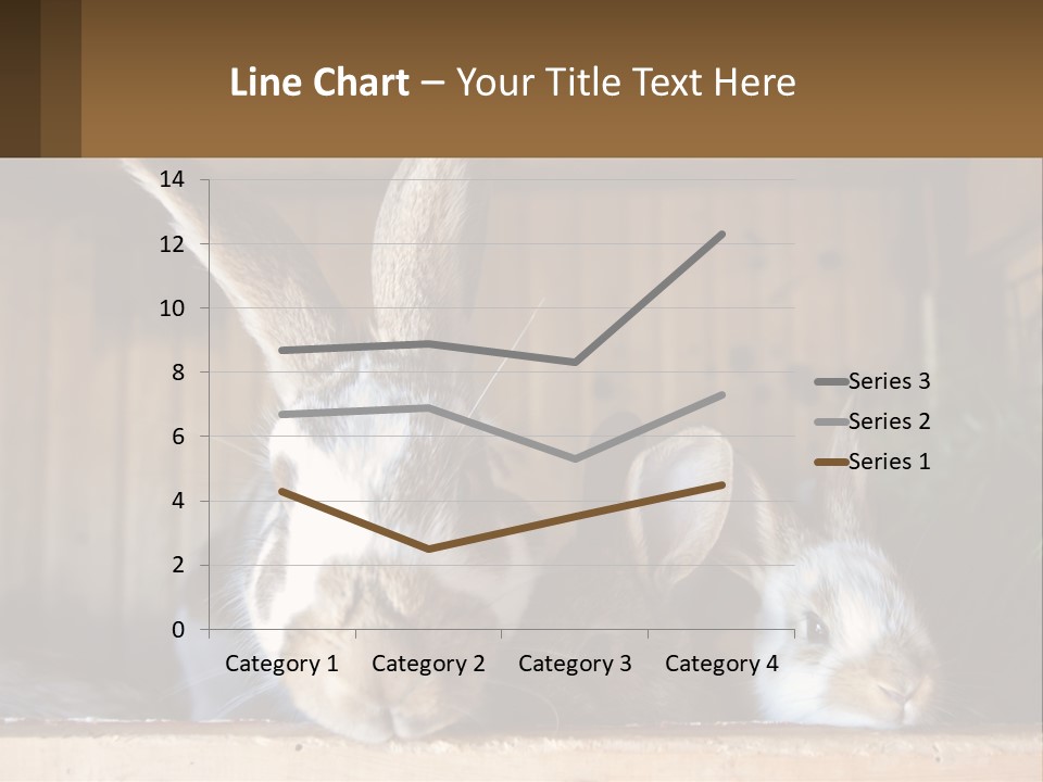 A Couple Of Rabbits Sitting Next To Each Other PowerPoint Template