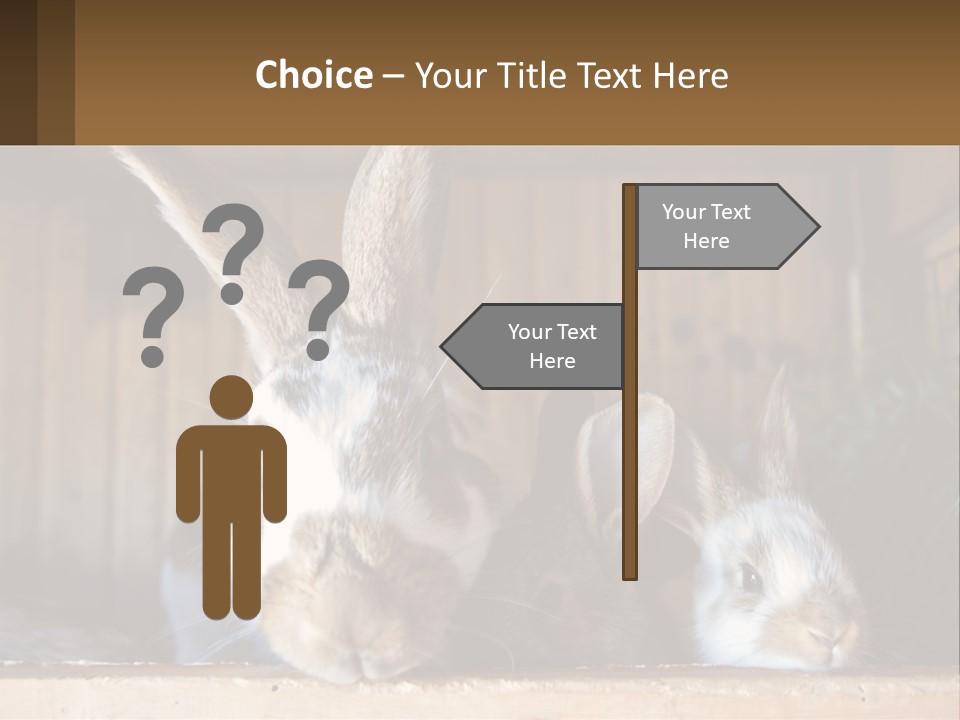 A Couple Of Rabbits Sitting Next To Each Other PowerPoint Template