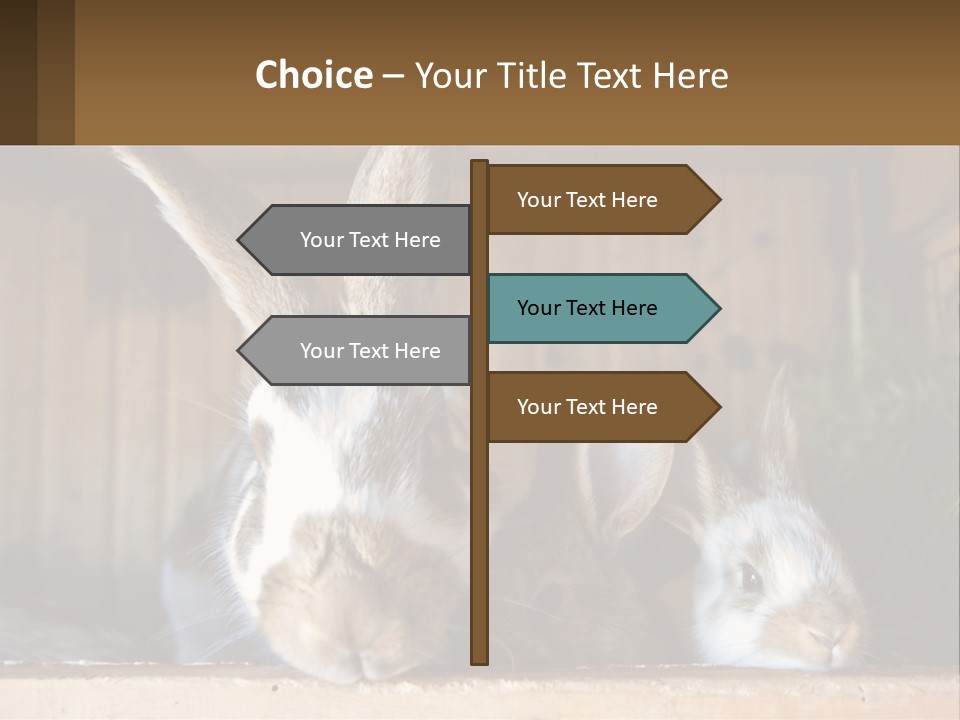 A Couple Of Rabbits Sitting Next To Each Other PowerPoint Template